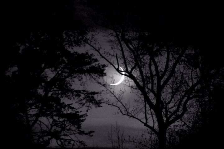 some eerie media recs, & why izzy hands sounds green