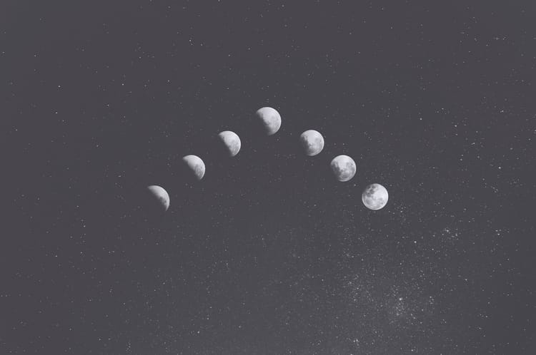 happy lunar new year